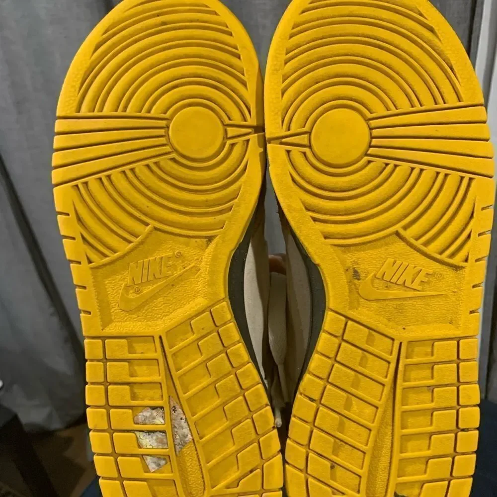 Nike Dunk High 